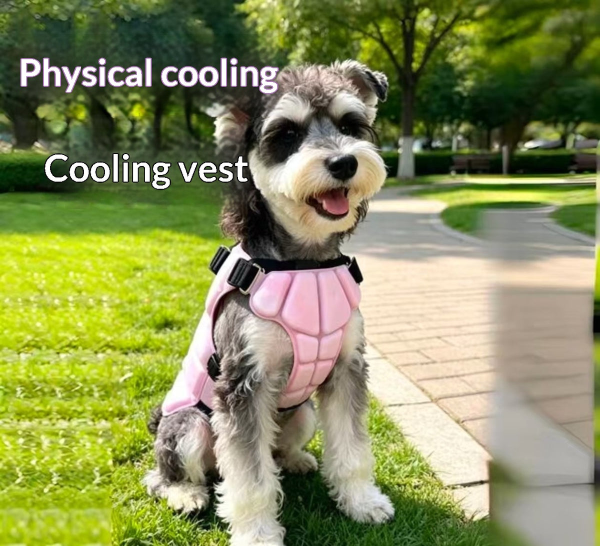 Dog Cooling Vest for Summer Walks