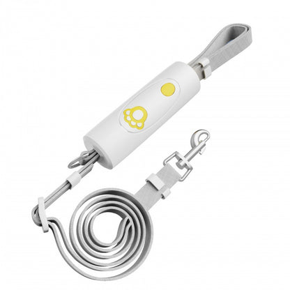 Hands-Free Dog Tether Leash
