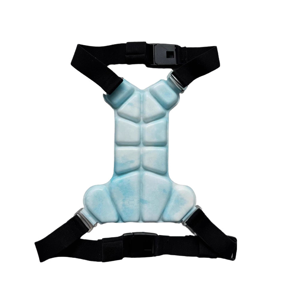 Dog Cooling Vest for Summer Walks