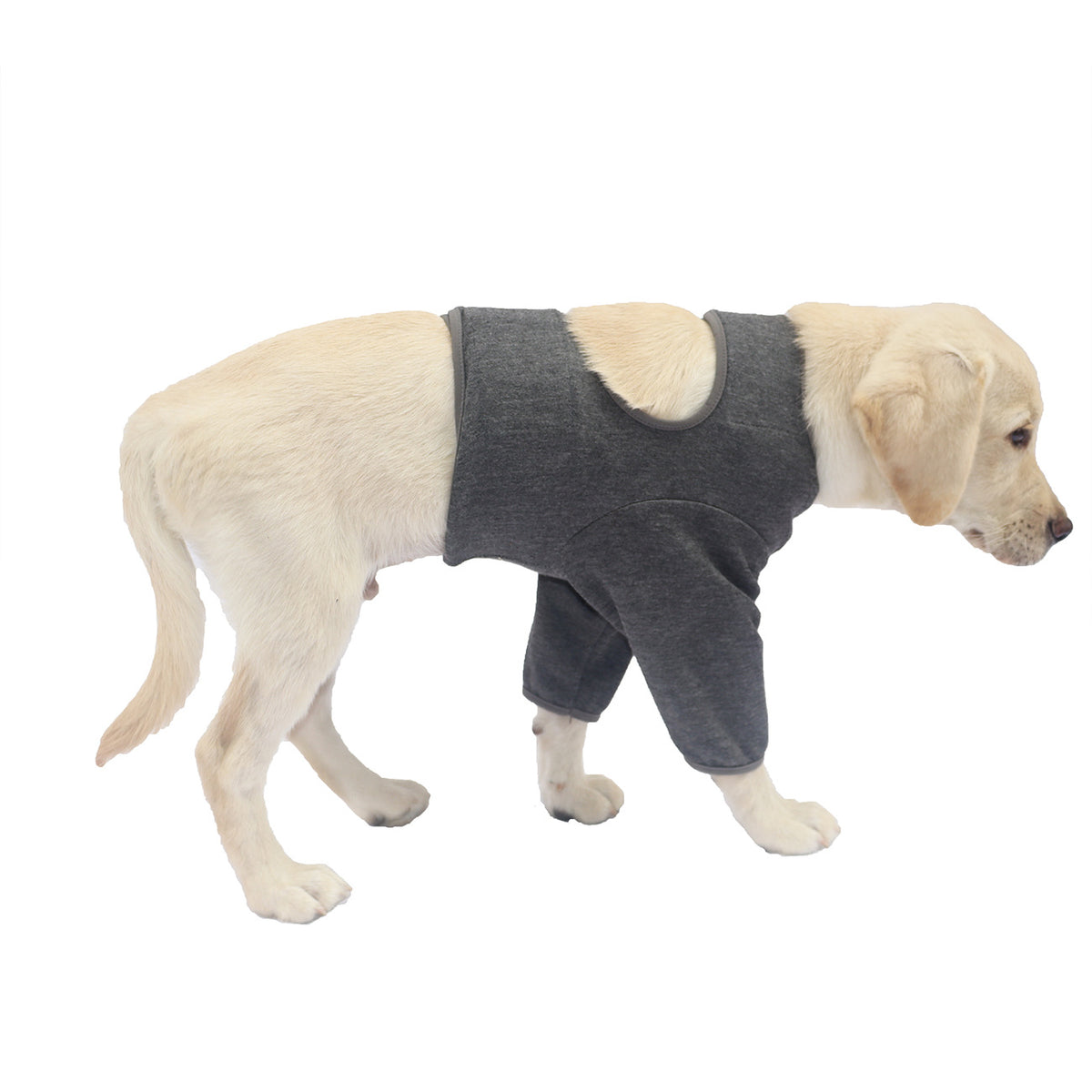 Dog Front Leg Cover Suit