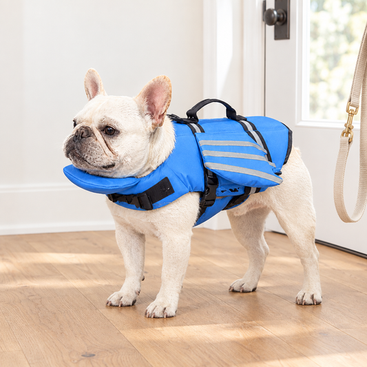 French Bulldog Life Jacket with Chin Float