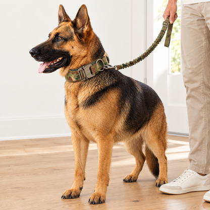 Heavy-Duty Tactical Dog Collar with Handle