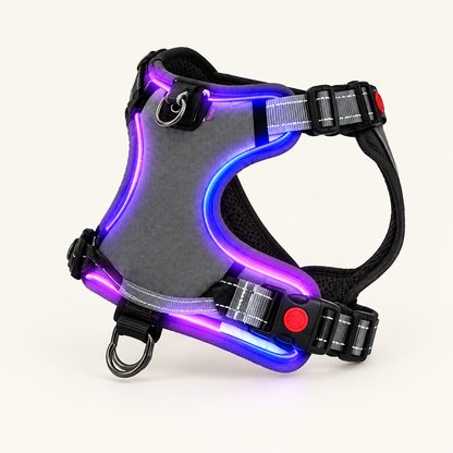Tailwise Rechargeable LED Dog Harness