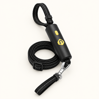 Tailwise Hands-Free Dog Tether Leash