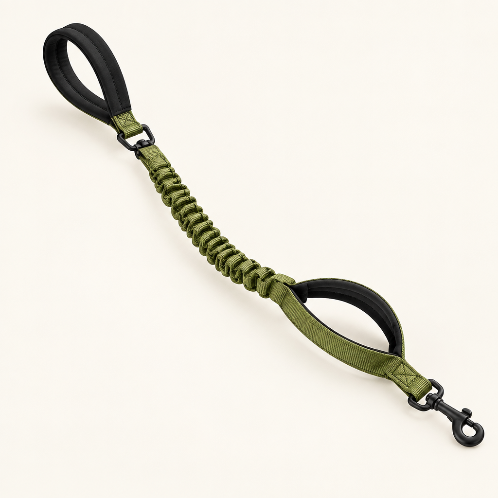 Tailwise Dual-Handle Bungee Dog Leash