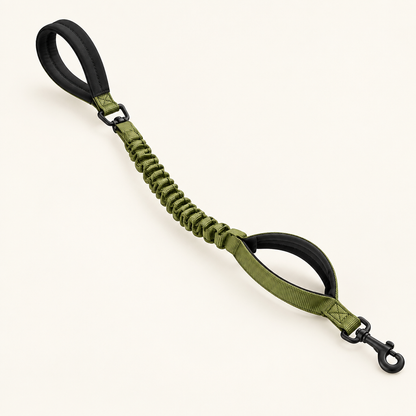 Tailwise Dual-Handle Bungee Dog Leash