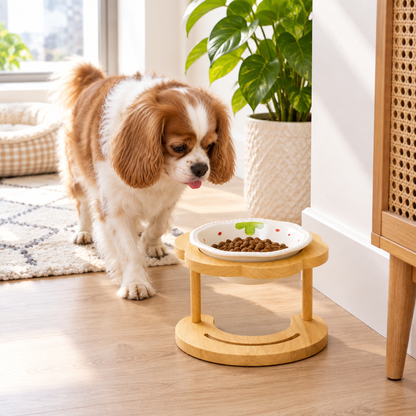 Tailwise Elevated Ceramic Pet Bowl with Wooden Stand