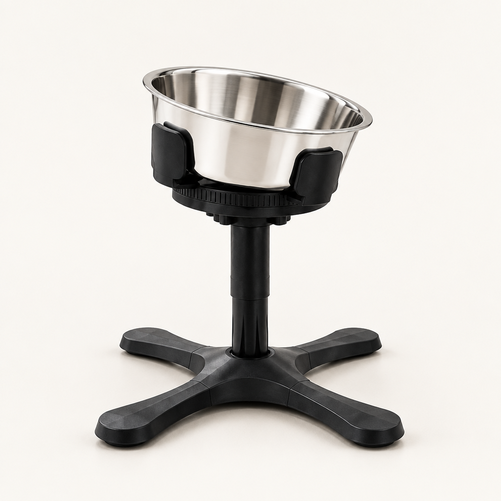 Tailwise Elevated Tilted Dog Bowl for French Bulldogs