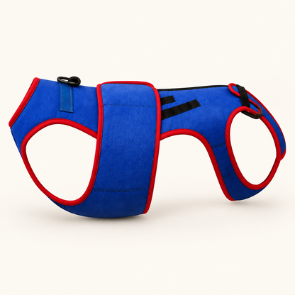 Tailwise Dog Back Support Vest