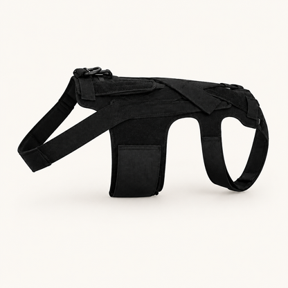 Tailwise Full-Body Dog Back Support Vest