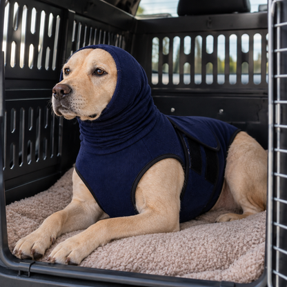 Tailwise Dog Calming Shirt with Ear Hood