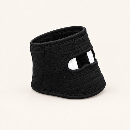 Tailwise Soft Dog Neck Brace Collar