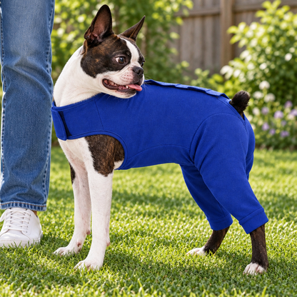 Tailwise Dog Cone Alternative Bodysuit