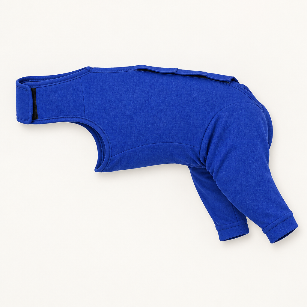 Tailwise Dog Cone Alternative Bodysuit