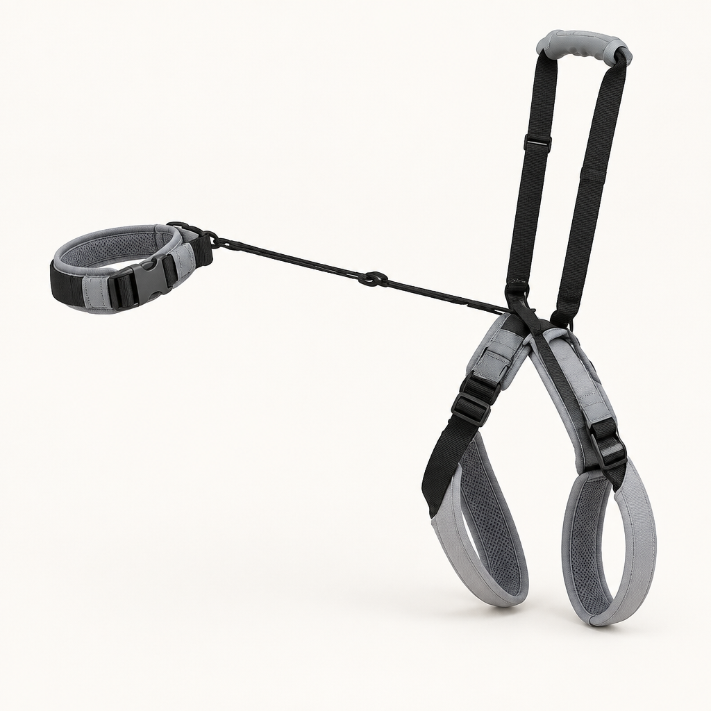 Tailwise Adjustable Dog Rear Lift Harness